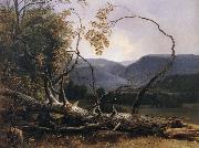 Asher Brown Durand Study from Nature,Stratton Notch,Vermont china oil painting reproduction